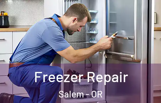  Freezer Repair Salem - OR