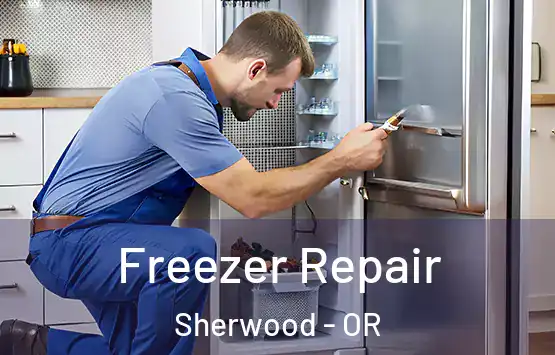  Freezer Repair Sherwood - OR