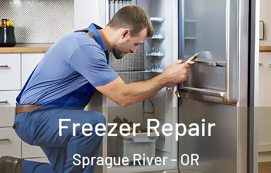  Freezer Repair Sprague River - OR