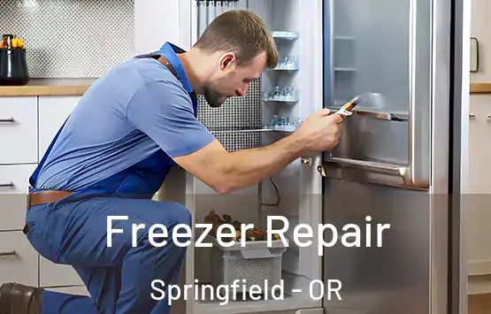  Freezer Repair Springfield - OR