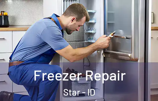  Freezer Repair Star - ID