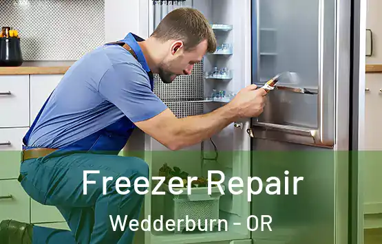 Freezer Repair Wedderburn - OR