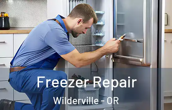  Freezer Repair Wilderville - OR