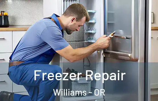  Freezer Repair Williams - OR