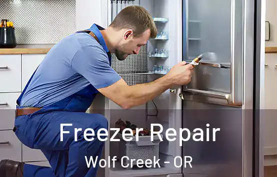  Freezer Repair Wolf Creek - OR