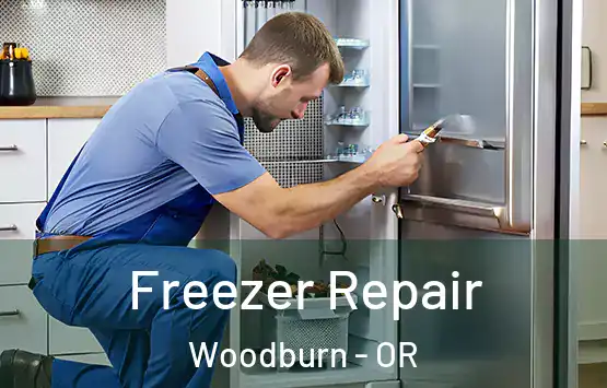  Freezer Repair Woodburn - OR