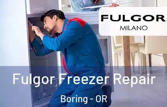  Fulgor Freezer Repair Boring - OR
