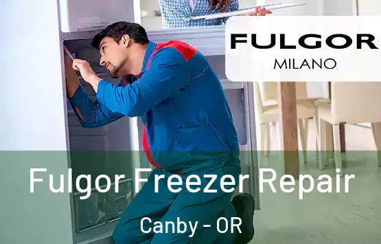  Fulgor Freezer Repair Canby - OR