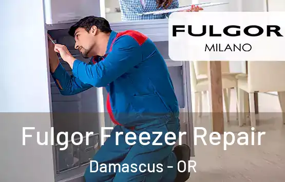  Fulgor Freezer Repair Damascus - OR