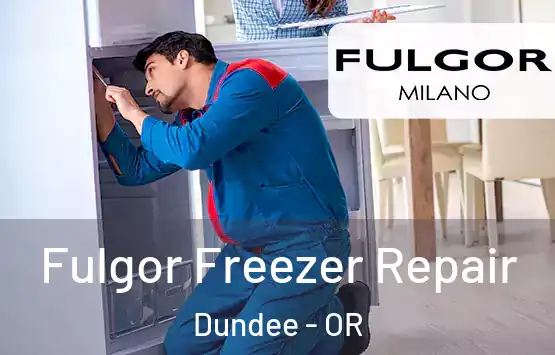 Fulgor Freezer Repair Dundee - OR