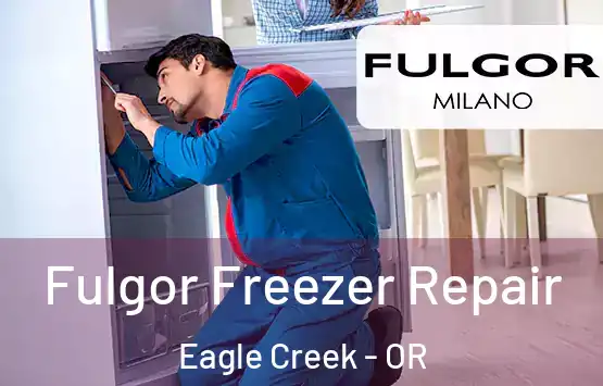  Fulgor Freezer Repair Eagle Creek - OR