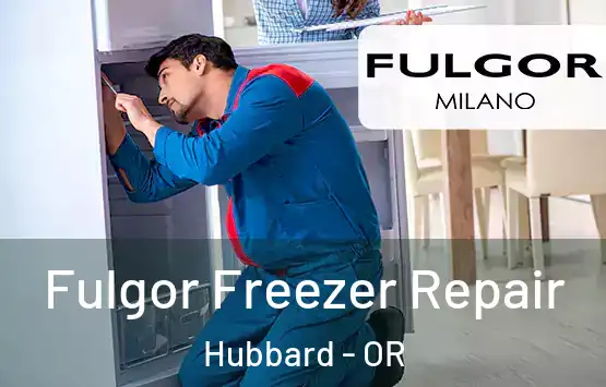  Fulgor Freezer Repair Hubbard - OR