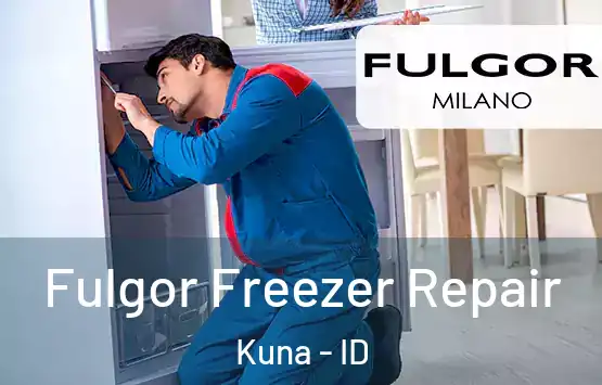  Fulgor Freezer Repair Kuna - ID