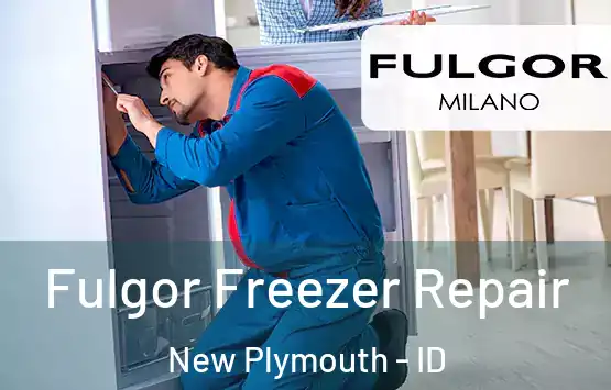  Fulgor Freezer Repair New Plymouth - ID