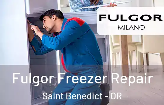  Fulgor Freezer Repair Saint Benedict - OR