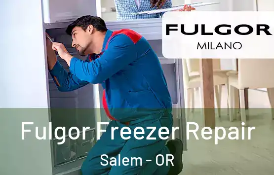  Fulgor Freezer Repair Salem - OR