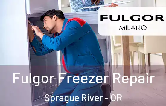  Fulgor Freezer Repair Sprague River - OR