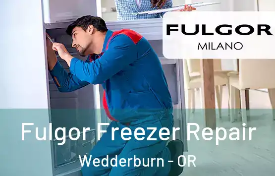  Fulgor Freezer Repair Wedderburn - OR