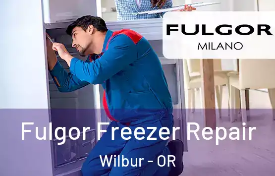  Fulgor Freezer Repair Wilbur - OR