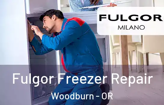  Fulgor Freezer Repair Woodburn - OR