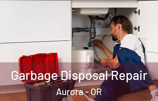  Garbage Disposal Repair Aurora - OR