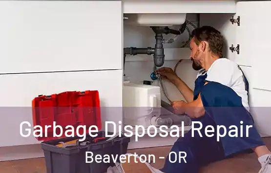  Garbage Disposal Repair Beaverton - OR