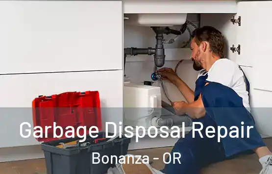  Garbage Disposal Repair Bonanza - OR