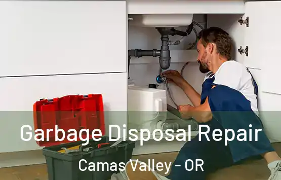  Garbage Disposal Repair Camas Valley - OR