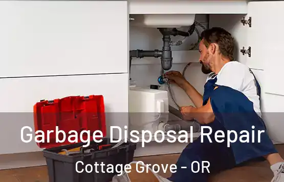 Garbage Disposal Repair Cottage Grove - OR