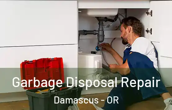  Garbage Disposal Repair Damascus - OR