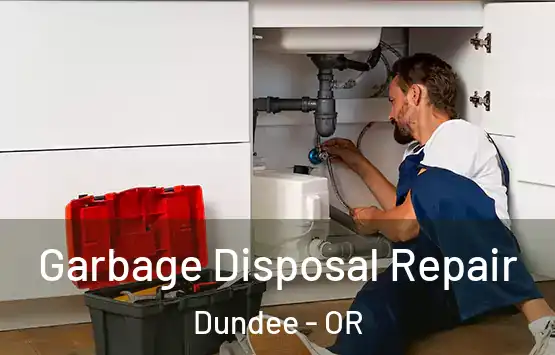  Garbage Disposal Repair Dundee - OR