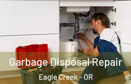  Garbage Disposal Repair Eagle Creek - OR