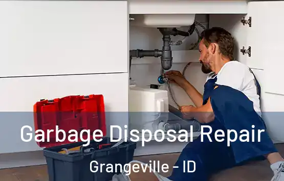  Garbage Disposal Repair Grangeville - ID