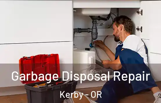  Garbage Disposal Repair Kerby - OR