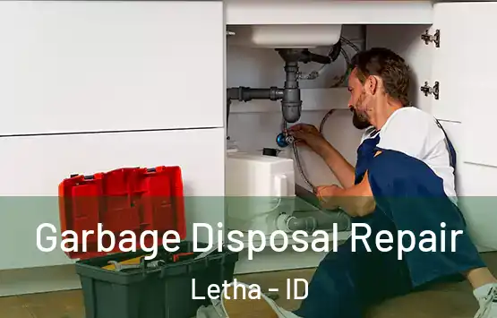  Garbage Disposal Repair Letha - ID