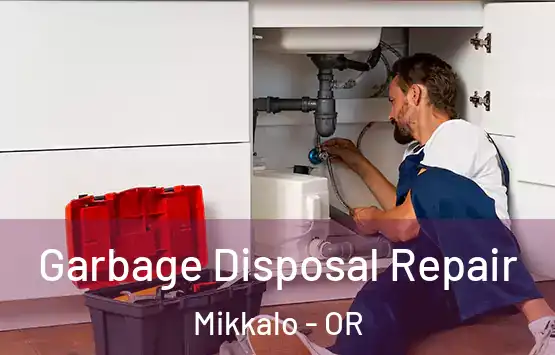  Garbage Disposal Repair Mikkalo - OR