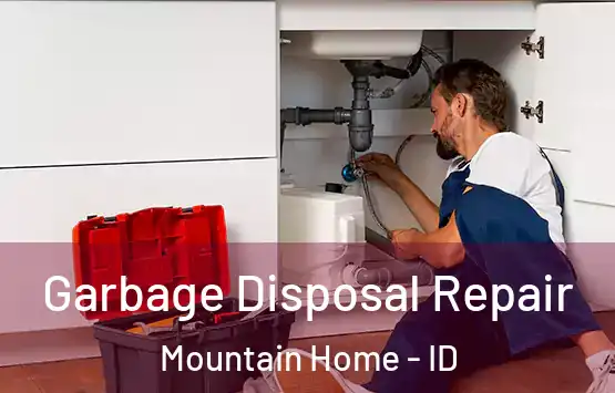  Garbage Disposal Repair Mountain Home - ID