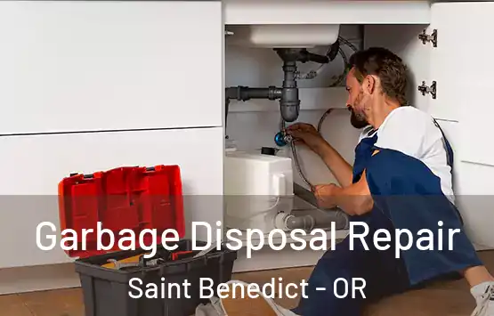  Garbage Disposal Repair Saint Benedict - OR
