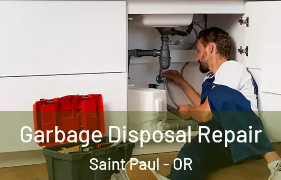  Garbage Disposal Repair Saint Paul - OR
