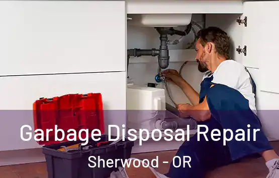  Garbage Disposal Repair Sherwood - OR