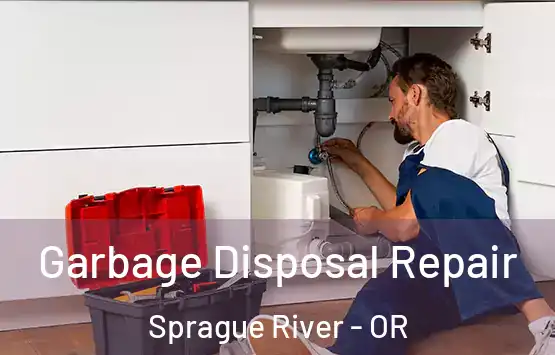 Garbage Disposal Repair Sprague River - OR