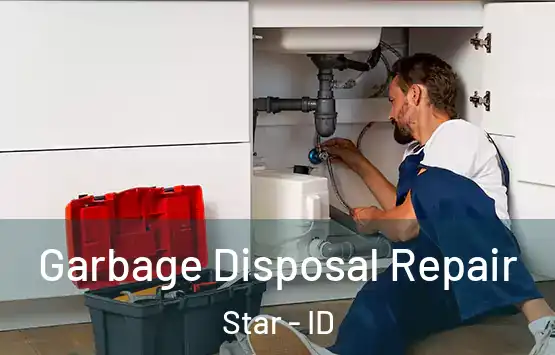  Garbage Disposal Repair Star - ID