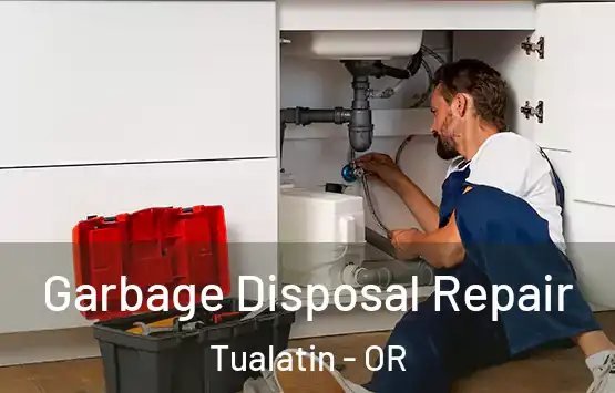  Garbage Disposal Repair Tualatin - OR