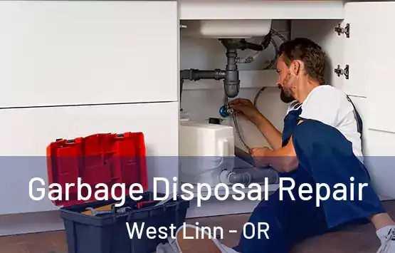  Garbage Disposal Repair West Linn - OR