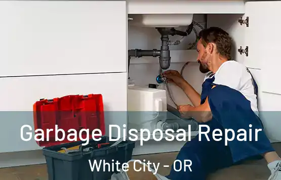  Garbage Disposal Repair White City - OR