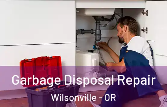  Garbage Disposal Repair Wilsonville - OR