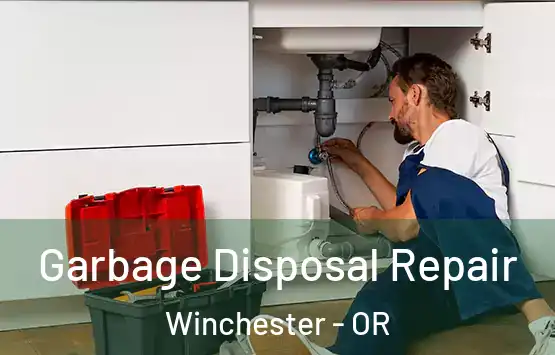 Garbage Disposal Repair Winchester - OR