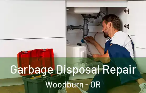  Garbage Disposal Repair Woodburn - OR