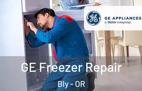  GE Freezer Repair Bly - OR