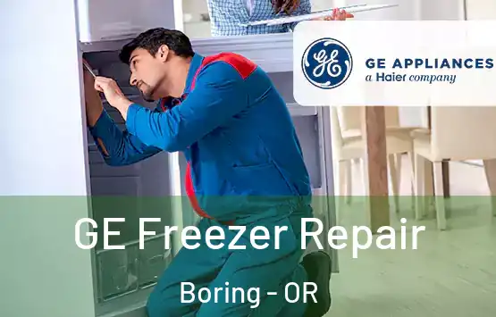  GE Freezer Repair Boring - OR